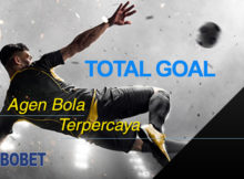 Panduan Bermain TG (Total Goal)